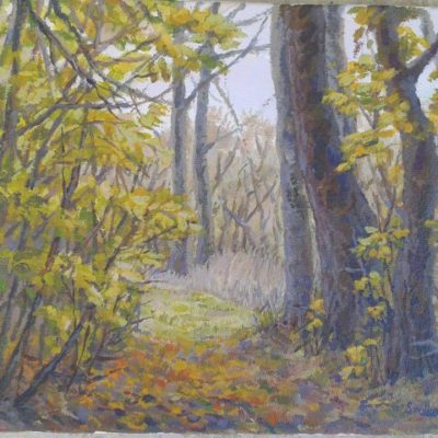 Allée dans les bois