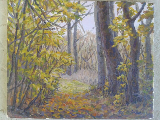 Allée dans les bois