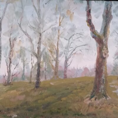 Arbres d'hiver