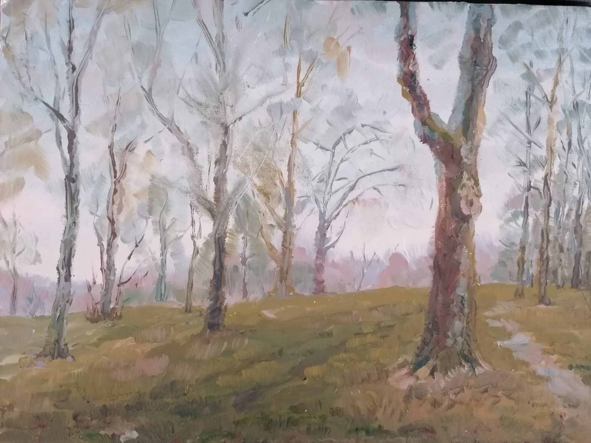 Arbres d'hiver